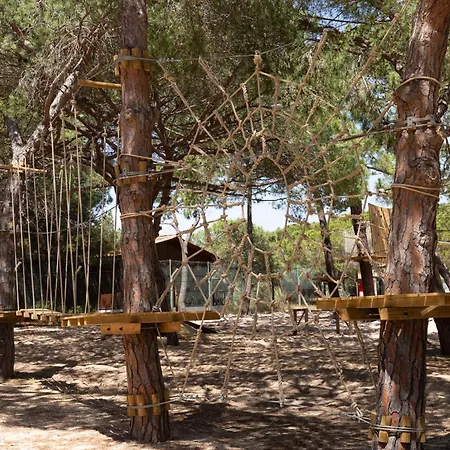 Campsite Orla Ilha De Eco-glamping *