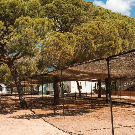 Orla Ilha De Eco-glamping Camping *
